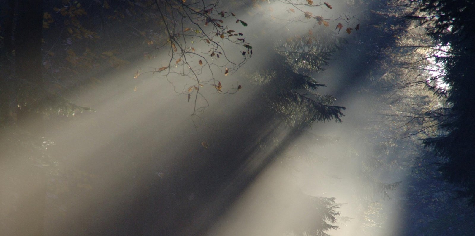 positive good morning quotes